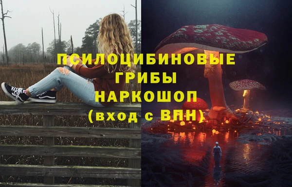 скорость Аркадак