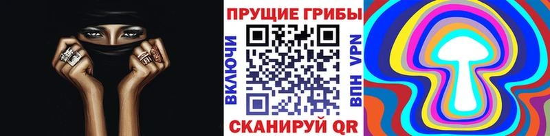 Псилоцибиновые грибы ЛСД  Купить где  Курчатов 